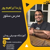 پارسا ابراهیم پور